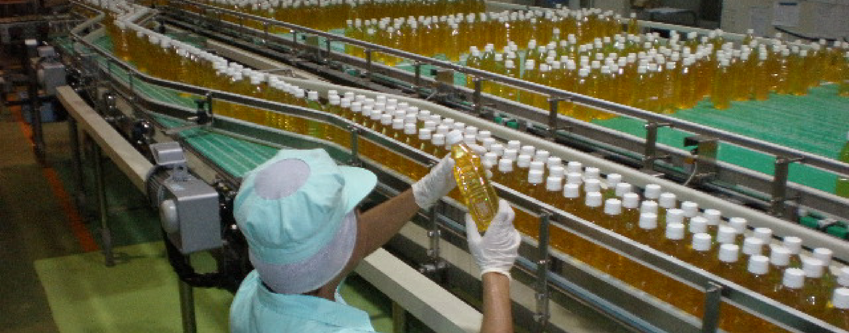 Factory introduction