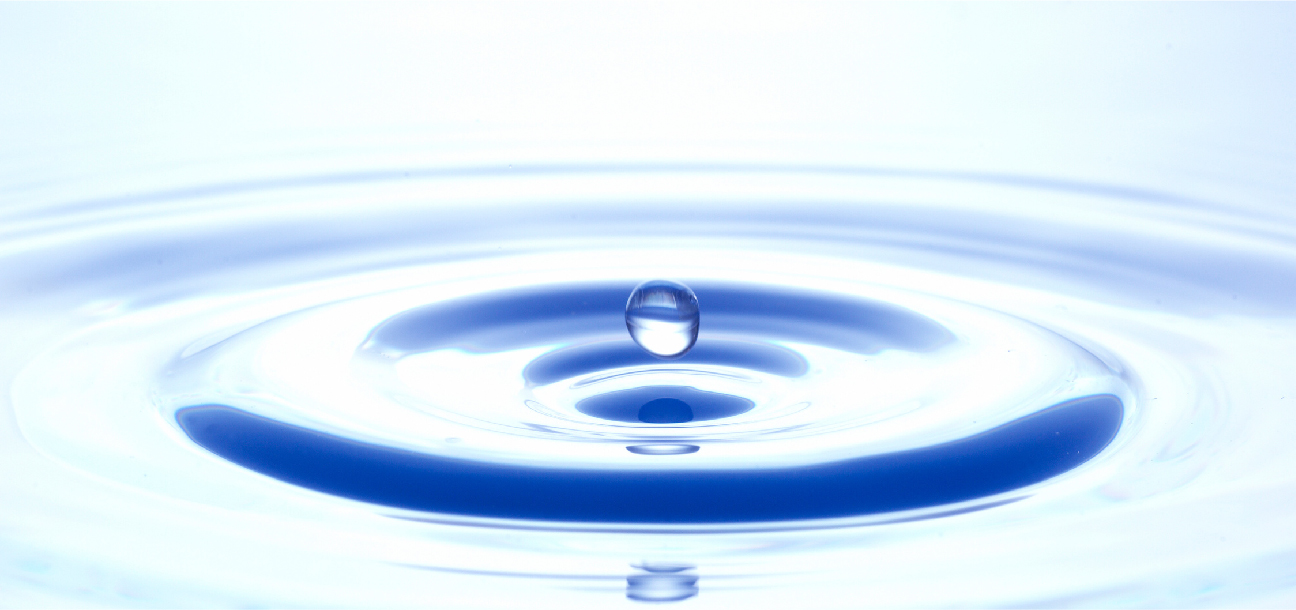 Company introduction