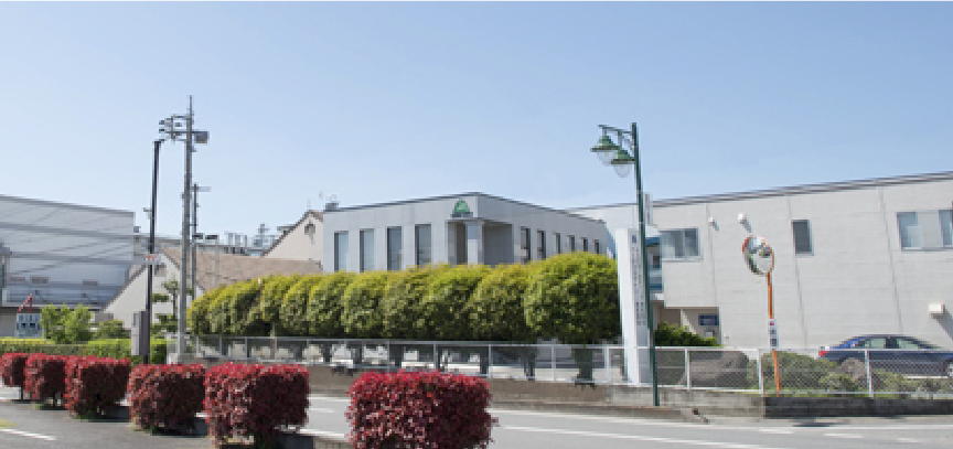 Factory introduction